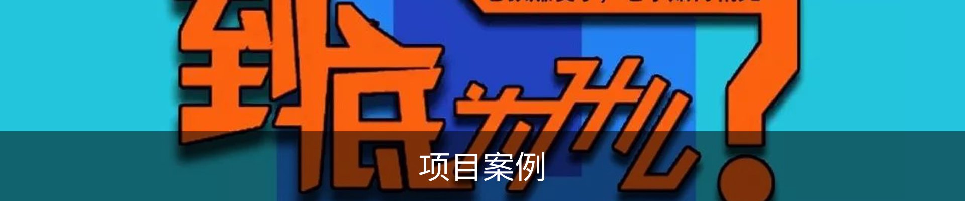 项目案例